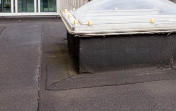 disadvantages of Drumpellier flat roofs